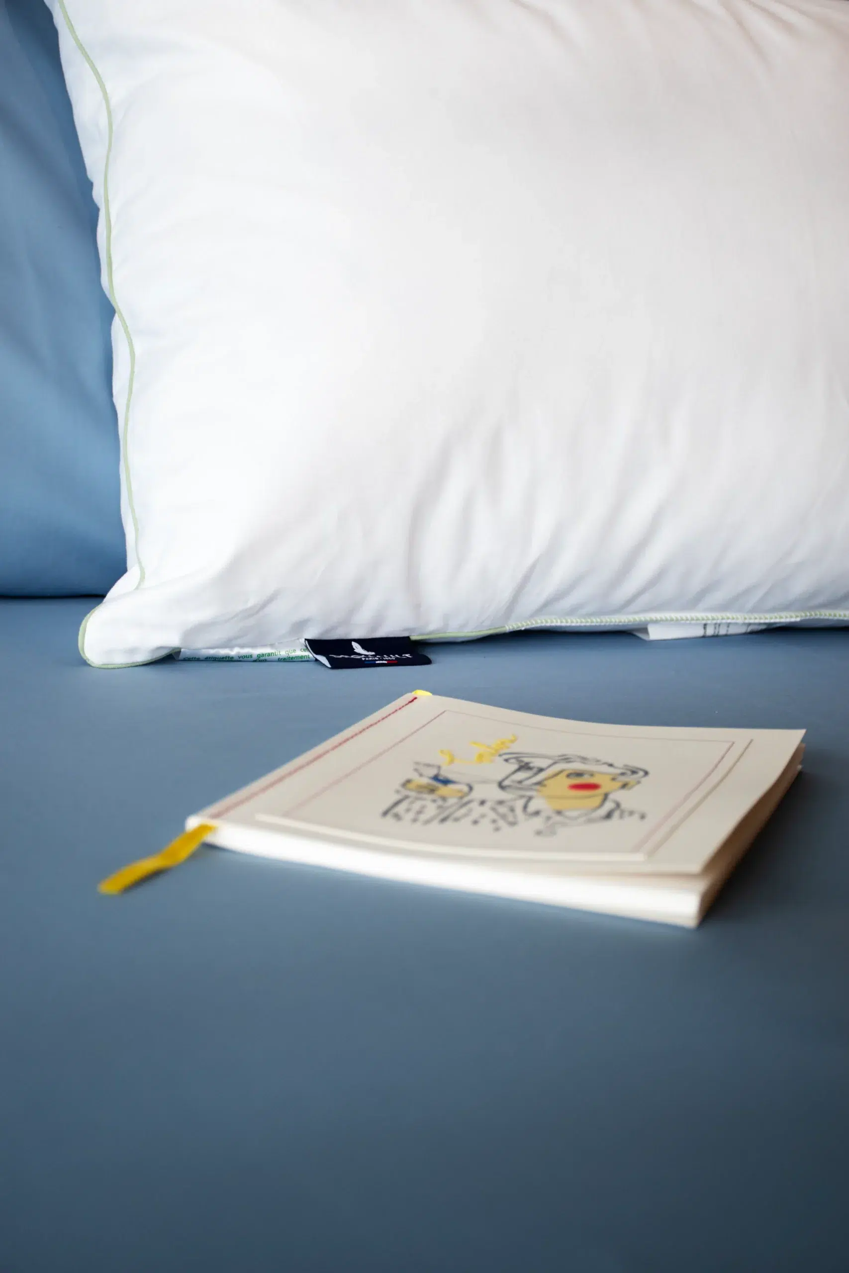 Abadie Mogulev oreiller duvet canard medium anti-acariens