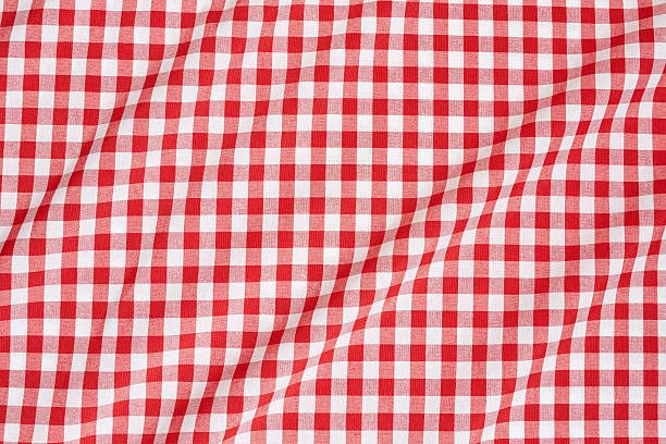 TEXPOT Meterware tissu coton vichy 160 cm rouge blanc 10 mm