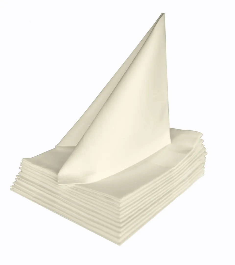 TEXPOT Servietten Lot 12 serviettes coton 50x50 cm champagne