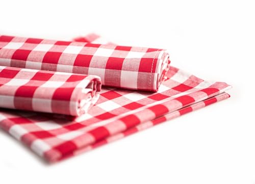 TEXPOT Platzsets set de table coton rouge blanc 33x45 lot 4