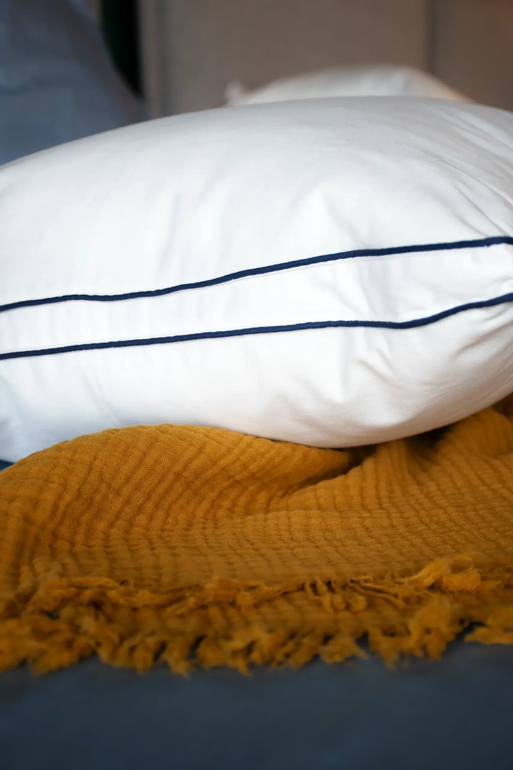 ABADIE Oreillers Trianon oreiller duvet anti-acariens