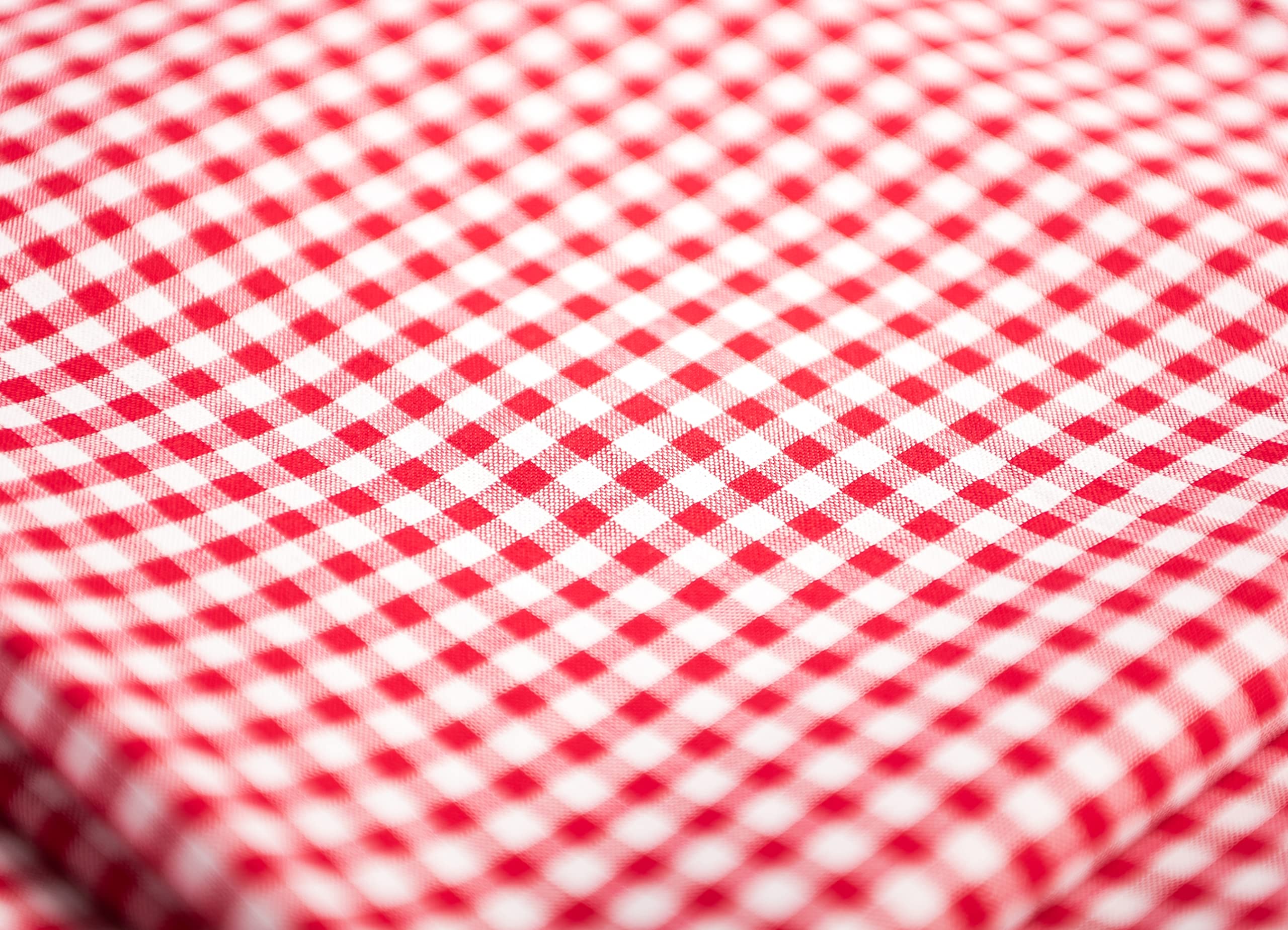 TEXPOT Meterware tissu coton vichy 160 cm rouge blanc 10 mm