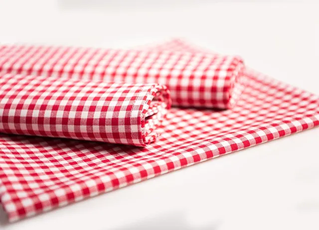 TEXPOT Platzsets Lot 4 sets table 33x45 cm rouge coton carreaux