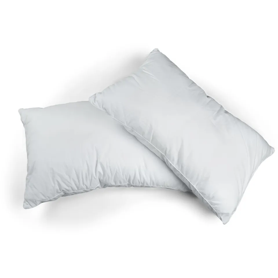 Promo Linge Oreillers lot 2 oreiller 50x70 cm microfibre blanc