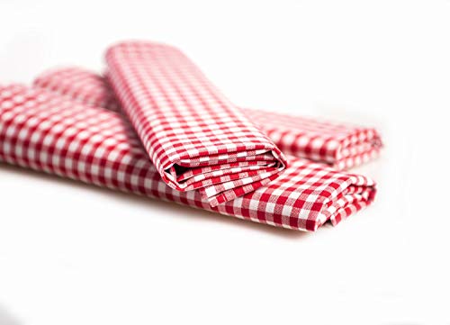 TEXPOT Platzsets Lot 4 sets table 33x45 cm rouge coton carreaux
