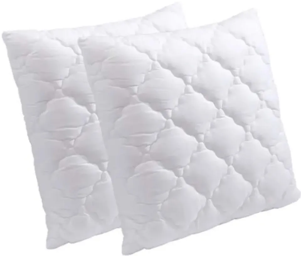 Promo Linge Oreillers Mémoire de Forme 65x65 Lot 2
