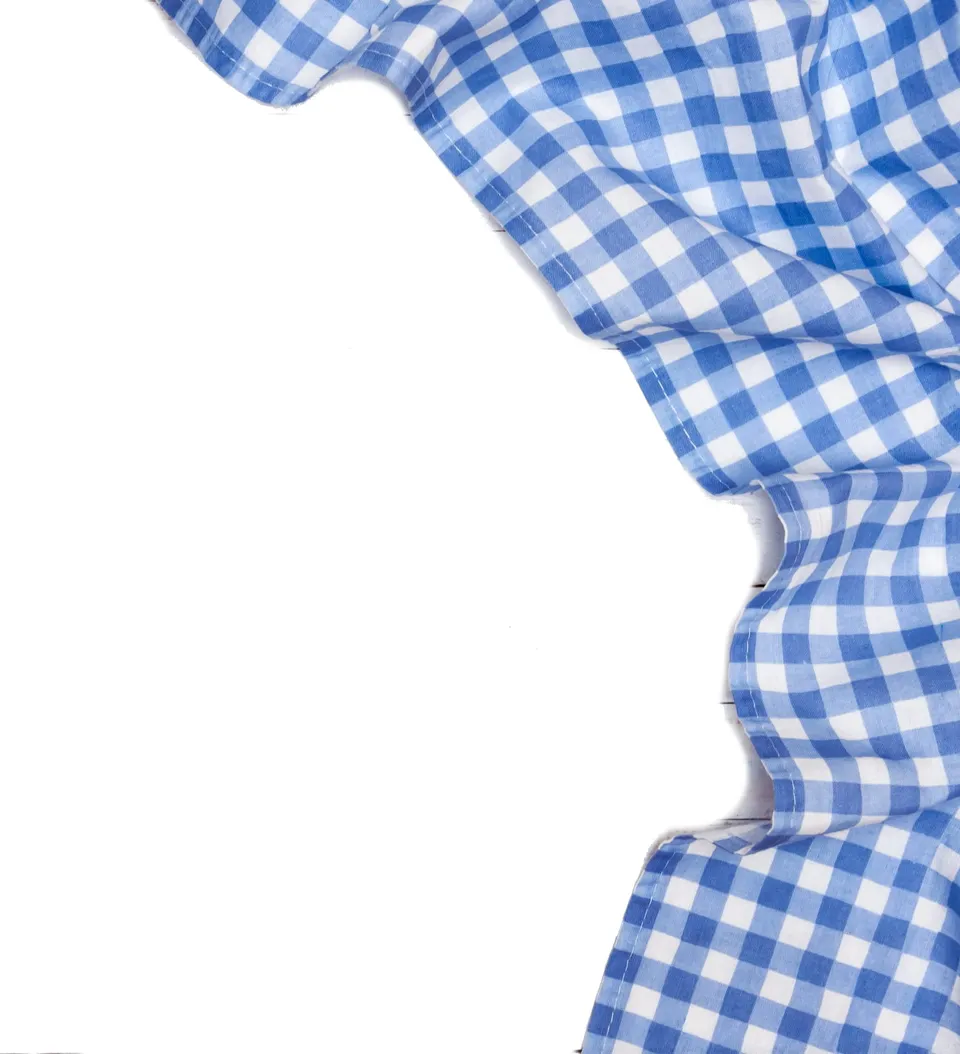 TEXPOT Meterware Tissu coton 160cm bleu vichy 10mm