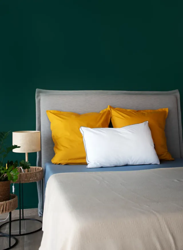 ABADIE Oreillers Pavillon oreiller moelleux percale coton