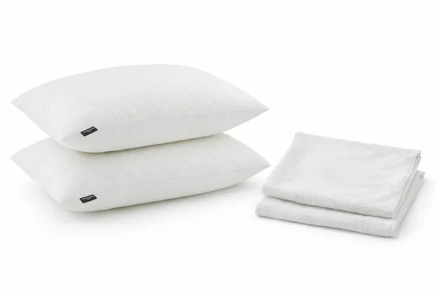 PROMO LINGE oreiller mémoire de forme 50x70 lot 2