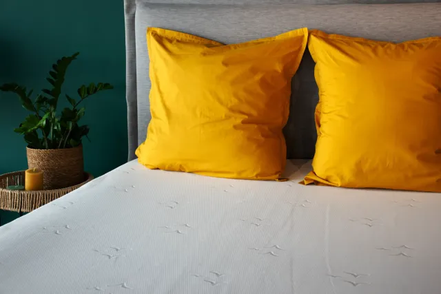 Abadie Surmatelas mémoire de forme 5 cm viscoélastique